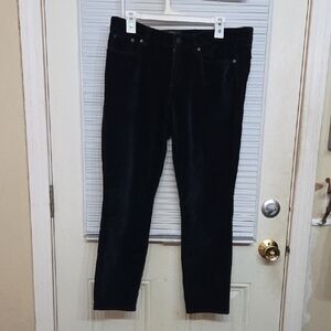 J. Crew Blue Velvet Toothpick Straight Leg Velvet Pants 31